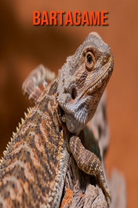 Bartagame