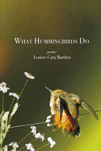 What Hummingbirds Do