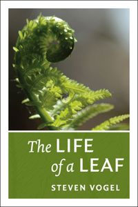 Life of a Leaf