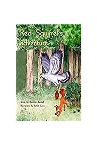 Red Squirrel's Adventure