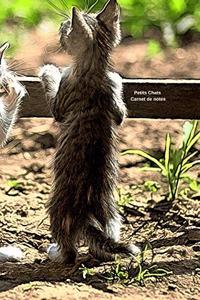Petits Chats Carnet de notes