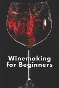 Winemaking for Beginners