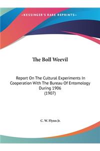The Boll Weevil