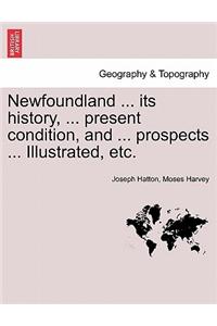 Newfoundland ... its history, ... present condition, and ... prospects ... Illustrated, etc.