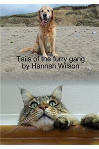 Tails of the furry gang
