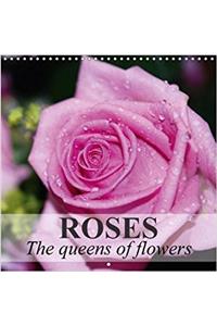 Roses - the Queens of Flowers 2018