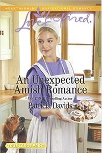 An Unexpected Amish Romance (The Amish Bachelors)