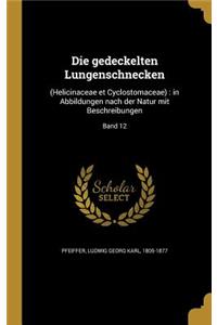 Die Gedeckelten Lungenschnecken