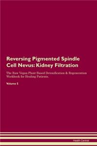 Reversing Pigmented Spindle Cell Nevus: Kidney Filtration The Raw Vegan Plant-Based Detoxification & Regeneration Workbook for Healing Patients.Volume 5