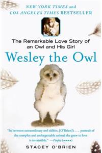 Wesley the Owl