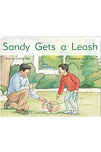 Sandy Gets a Leash