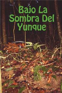 Bajo La Sombra del Yunque