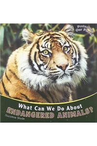 What Can We Do about Endangered Animals?