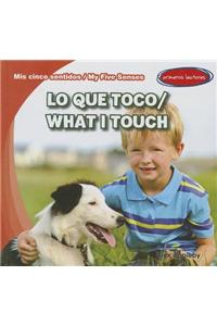 Lo Que Toco / What I Touch