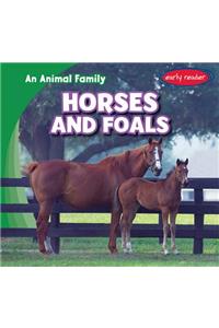 Horses and Foals