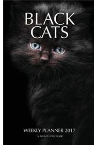 Black Cats Weekly Planner 2017