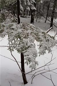 Journal Pretty Winter Snowstorm Photography