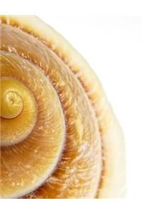 Snail Shell Notebook