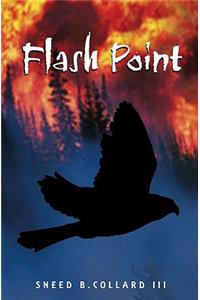 Flash Point