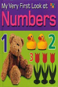 My Very First Look at Numbers