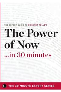 The Power of Now in 30 Minutes - The Expert Guide to Eckhart Tolle's Critically Acclaimed Book