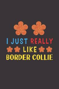 I Just Really Like Border Collie