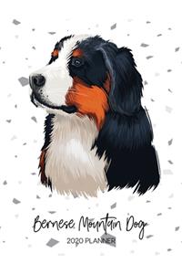Bernese Mountain Dog 2020 Planner