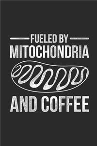 Fueled By Mitochondria