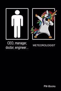 Meteorologist