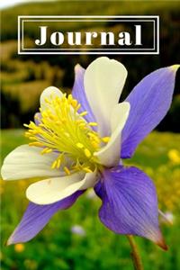 Pretty Purple Blue Colorado Columbine Wildflower Pretty Journal for Daily Thoughts Notebook Cute Diary for Women & Girls