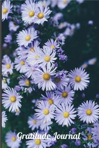 Gratitude Journal
