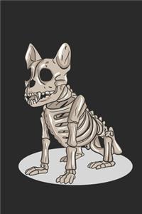 Bulldog Skeleton