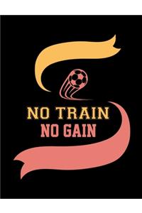 No Train No Gain