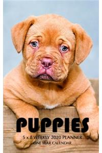 Puppies 5 x 8 Weekly 2020 Planner