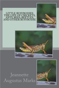 Little Busybodies The Life of Crickets, Ants, Bees, Beetles, and Other Busybodie