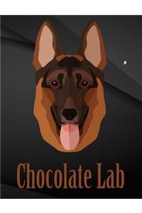 Chocolate Lab.