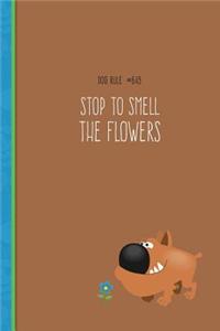 Dog Rule #649 Stop to Smell the Flowers: 6X9 Cute Dog Notebook