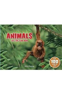 Animals Lift The Flap Book