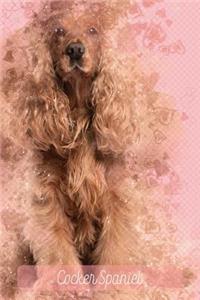 Cocker Spaniel