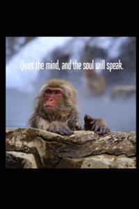 Quiet the Mind, and the Soul Will Speak