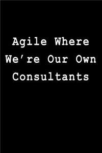 Agile Where We're Our Own Consultants