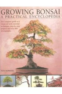 Growing Bonsai A Practical Encyclopedia