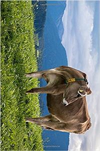 Cow on a Hillside Looking Back Journal