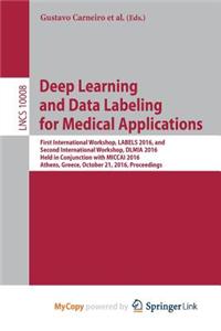 Deep Learning and Data Labeling for Medical Applications