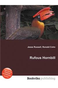 Rufous Hornbill