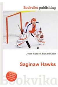 Saginaw Hawks