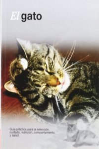 El gato