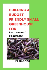 Building a Budget-Friendly Small Greenhouse for Lettuce and Eggplants