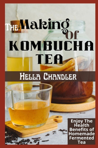 The Making Of Kombucha TEA