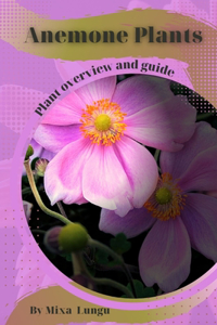Anemone Plants